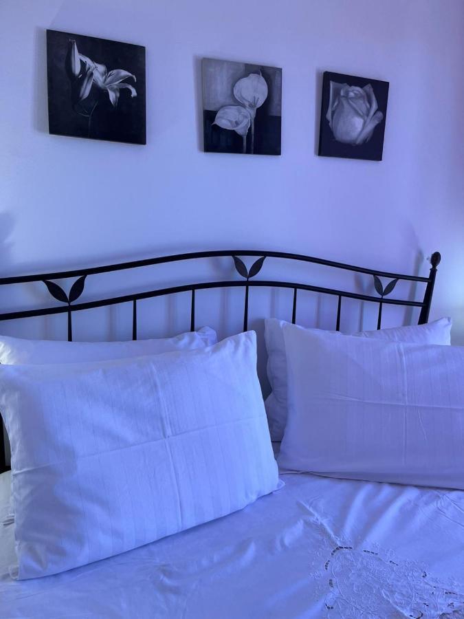 Apartman Gorana With Swimming Pool Jelsa  Exteriör bild